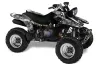 Yamaha Warrior 350 ATV Graphic Kit - All Years Reaper Silver