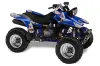 Yamaha Warrior 350 ATV Graphic Kit - All Years T Bomber Blue