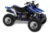Yamaha Warrior 350 ATV Graphic Kit - All Years Tribal Flames Blue