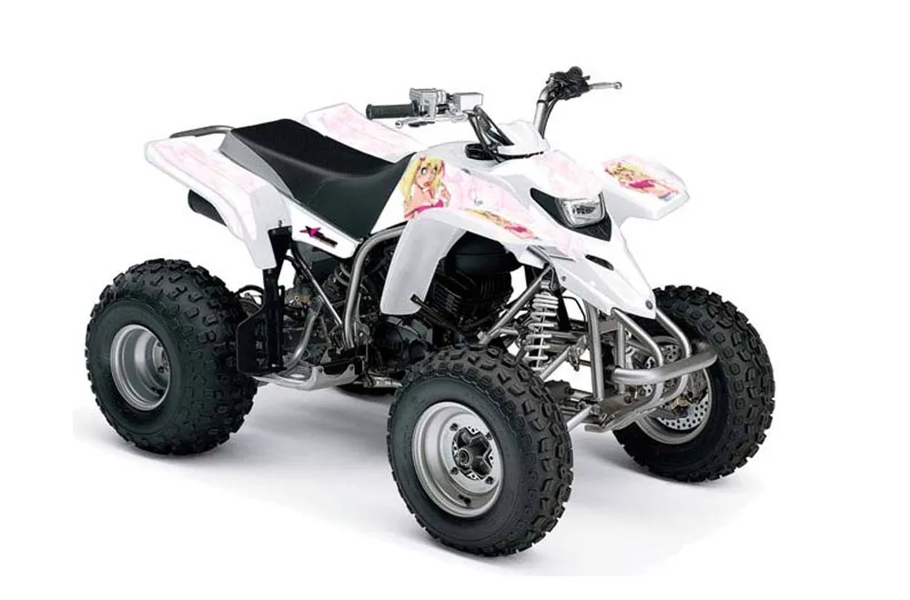 Yamaha Blaster YFS200 ATV Graphic Kit - 1988-2001 Mandy Pink