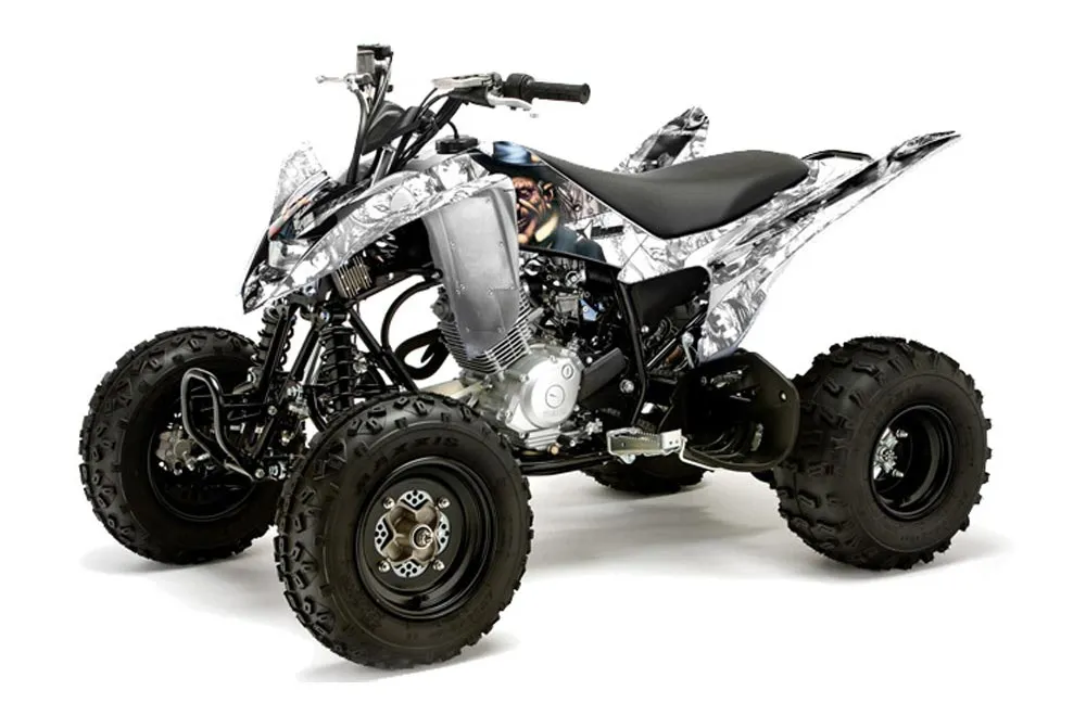 Yamaha Raptor 125 ATV Graphic Kit - 2011-2014 Mad Hatter Silver
