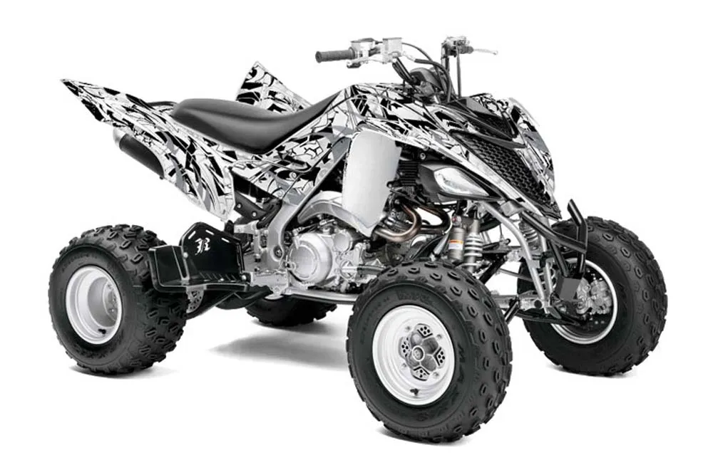 Yamaha Raptor 700 ATV Graphic Kit - 2006-2012 Expo Silver
