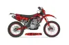 Gas Gas EC 250 Dirt Bike Graphic Kit - 2009-2010 Checkered Skull Red