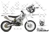 Gas Gas EC 250 Dirt Bike Graphic Kit - 2011-2012 Silver Star - Reloaded White