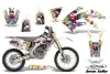 Honda CRF250 X Dirt Bike Custom Graphic Kit - 2004-2017