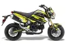 Honda Grom 125 Dirt Bike Graphic Kit - 2013-2016 Attack Yellow