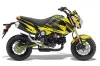 Honda Grom 125 Dirt Bike Graphic Kit - 2013-2016 Nuke Yellow