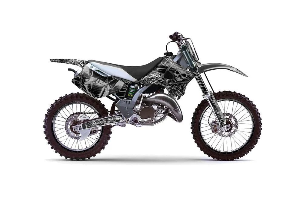 Kawasaki KX250 Dirt Bike Graphic Kit - 1994-1998 Skulls and Hammers Silver