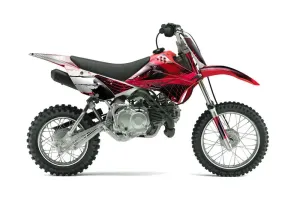 Kawasaki KLX110 Dirt Bike Graphic Kit - 2010-2025 Carbon X Red