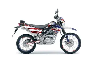 Kawasaki KLX125 D Tracker Dirt Bike Graphic Kit - 2010-2016 Sin and Stripes