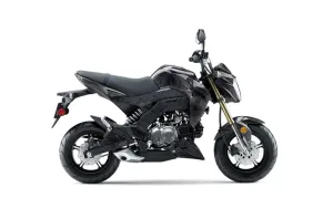 Kawasaki Z125 Pro Dirt Bike Graphic Kit - 2017-2024 Death Dealer Black