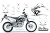 Kawasaki KLX125 D Tracker Dirt Bike Custom Graphic Kit - 2010-2016