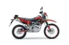 Kawasaki KLX125 D Tracker Dirt Bike Graphic Kit - 2010-2016 Reaper Red