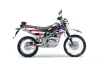 Kawasaki KLX125 D Tracker Dirt Bike Graphic Kit - 2010-2016 Sin and Stripes