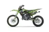 Kawasaki KX100 Dirt Bike Graphic Kit - 2014-2021 Mad Hatter Green