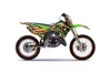 Kawasaki KX125 Dirt Bike Graphic Kit - 1999-2002 Firestorm Green