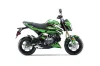 Kawasaki Z125 Pro Dirt Bike Graphic Kit - 2017-2024 Attack Green
