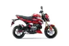 Kawasaki Z125 Pro Dirt Bike Graphic Kit - 2017-2024 Attack Red