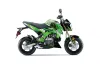 Kawasaki Z125 Pro Dirt Bike Graphic Kit - 2017-2024 Carbon X Green