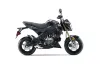 Kawasaki Z125 Pro Dirt Bike Graphic Kit - 2017-2024 Death Dealer Black