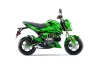 Kawasaki Z125 Pro Dirt Bike Graphic Kit - 2017-2024 Fade Green