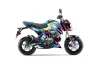 Kawasaki Z125 Pro Dirt Bike Graphic Kit - 2017-2024 Flashback