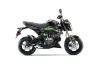 Kawasaki Z125 Pro Dirt Bike Graphic Kit - 2017-2024 Mad Hatter Green