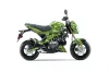 Kawasaki Z125 Pro Dirt Bike Graphic Kit - 2017-2024 Reaper Green