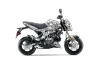 Kawasaki Z125 Pro Dirt Bike Graphic Kit - 2017-2024 Reaper White