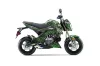Kawasaki Z125 Pro Dirt Bike Graphic Kit - 2017-2024 Widow Maker Green