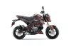 Kawasaki Z125 Pro Dirt Bike Graphic Kit - 2017-2024 Widow Maker Red