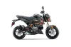 Kawasaki Z125 Pro Dirt Bike Graphic Kit - 2017-2024 WW2