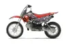 Suzuki DRZ 110 Dirt Bike Graphic Kit - All Years Checkered Skull Red