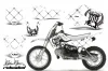Suzuki DRZ 110 Dirt Bike Graphic Kit - All Years Silver Star - Reloaded White