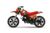 Yamaha PW50 Dirt Bike Graphic Kit - 1990-2022 Bone Collector Orange