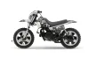 Yamaha PW50 Dirt Bike Graphic Kit - 1990-2022 Checkered Skull Silver