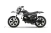 Yamaha PW80 Dirt Bike Graphic Kit - 1996-2006 Skulls and Hammers SIlver