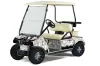 Club Car Golf Cart Graphic Kit - 1983-2014 Reaper White