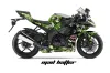 Kawasaki ZX10 Ninja Graphic Kit - 2008-2009 Mad Hatter Green