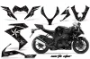 Kawasaki ZX10 Ninja Graphic Kit - 2008-2009 Northstar Black