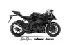 Kawasaki ZX10 Ninja Graphic Kit - 2008-2009 Silver Star Silverhaze Black