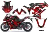 Kawasaki ZX1000 Ninja Custom Graphic Kit - 2010-2013