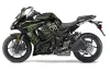 Kawasaki ZX1000 Ninja Graphic Kit - 2010-2013 Widow Maker Green