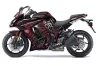 Kawasaki ZX1000 Ninja Graphic Kit - 2010-2013 Widow Maker Red