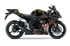 Suzuki GSXR 600 / 750 Graphic Kit - 2006-2007 Ed Hardy Pirates Black