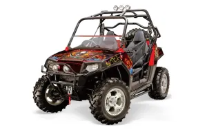 Polaris RZR 800 / 800S Graphic Kit - 2006-2010 Ed Hardy - Pirates Red