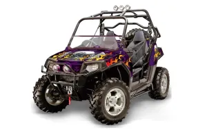 Polaris RZR 800 / 800S Graphic Kit - 2006-2010 Motorhead Purple