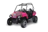 Polaris RZR 170 Graphic Kit - All Years Ed Hardy - Love Kills Pink