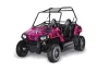 Polaris RZR 170 Graphic Kit - All Years Northstar Pink