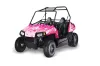 Polaris RZR 170 Graphic Kit - All Years Starlett Pink